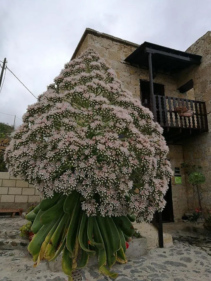 Las Vigas Vivencia Rural Arico Viejo